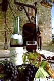 Winetasting