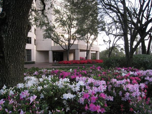 Bayou Bend Towers, Alexander's Fine Portrait Design BBT